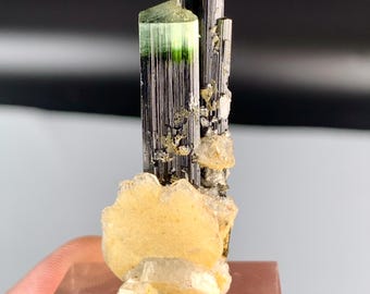 Natural Terminated Green Cap Tourmaline on Albite, Crystal Collectors 43.00 carats