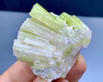 パキスタンのスカルドゥ産、希少なマイクロライトとクォーツ入り