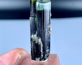 Natural Terminated Green Cap Tourmaline Crystal from Pakistan 48 carats