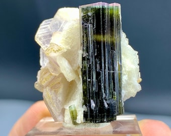 Multicolor Turmalin auf Blumenform Lepidolith, Naturterminierte Kristall, Turmalin Specimen - 09 gr