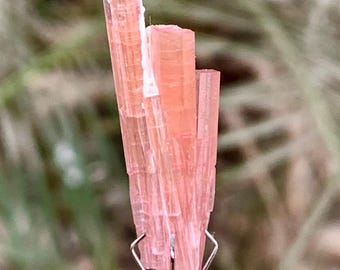 Natural Pink Tourmaline Crystals Spray from Afghanistan - 13.50 Carats