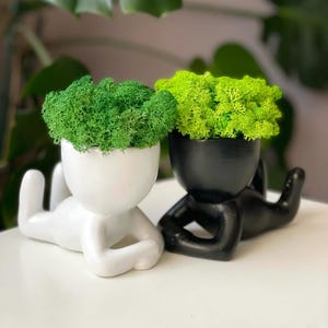 Puede incluir: Dos macetas decorativas con forma de figuras reclinadas. Una es blanca, la otra negra. Cada una contiene una planta vibrante y texturizada. Las plantas son de un verde brillante y un verde chartreuse más claro. Las macetas están sobre una superficie blanca.