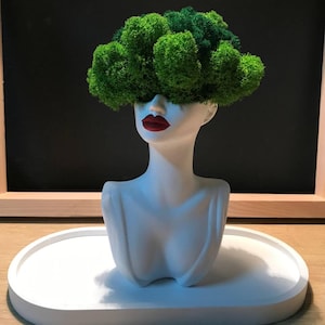 May include: A white bust-shaped planter with red lips and a head of vibrant green moss. The planter sits on a white oval tray, with a dark background. The bust is a decorative item, suitable for displaying plants or as a unique art piece.