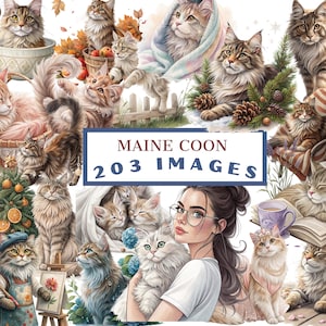 Aquarell Maine Coon Katze, 203 Bundle