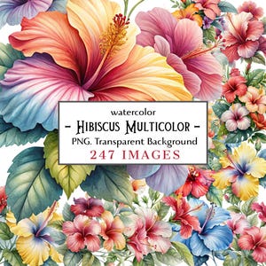 Hibiskus Clipart Bundle - 247 mehrfarbige PNG Aquarell tropische Blumen für Sublimation, T-Shirts, Tassen, Planer & Sommer Dekor
