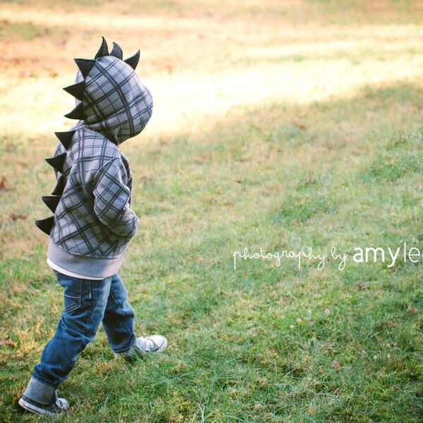 Children's Dinosaur Hoodie