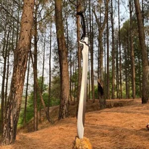 May include: A silver sword with a black handle is standing upright in a forest setting. The sword is propped up on a tree stump. The background is a forest with tall trees.