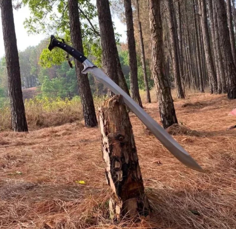 May include: A long, silver sword with a black handle is propped against a tree stump in a forest setting. The sword has a sharp point and a curved blade.