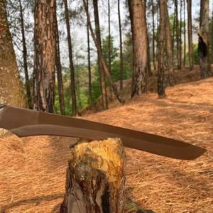 May include: A brown sword blade resting on a tree stump in a forest setting.