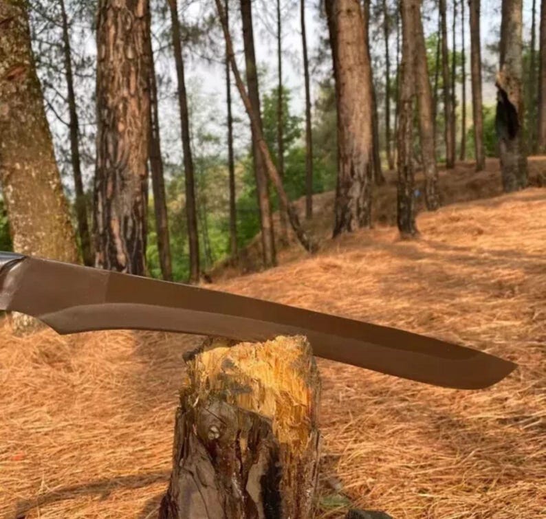 May include: A brown sword blade resting on a tree stump in a forest setting.