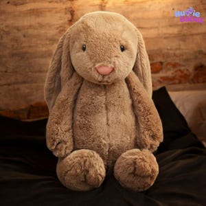 Personalized Plush Bunny Rabbit – Embroidered Bunny Toy – Monogrammed Easter Bunny, Baby Shower Gift, Stuffed Animal, Gift for Kids