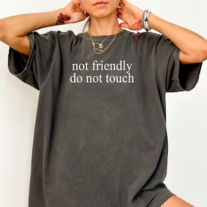 Comfort Colors® Funny Shirt, Not Friendly Do Not Touch Shirt, Funny Humor TShirt, Adult Humor Shirt, Sarcasm T Shirt, Funny Trendy Tee