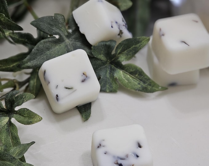 Featured listing image: Botanical Soy Wax Melts | 12pc Gift Set | Floral Wax Melts | Choose Scent | Handmade Natural Soy Wax Tarts | Home Fragrance - Highly Scented