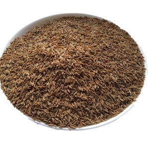 Caraway Meridian fennel Persian cumin Carum carvi Seed Dried Medicinal plants 5 Kg 176.4 Oz