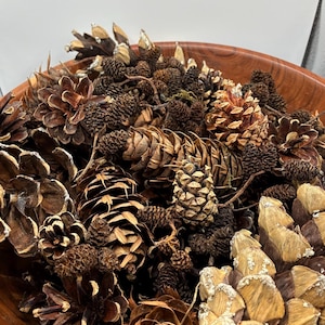 May include: A wooden bowl filled with various sizes and shapes of brown pine cones. Some cones have a light dusting of glitter. The cones vary in color from light tan to dark brown, creating a natural, rustic aesthetic.