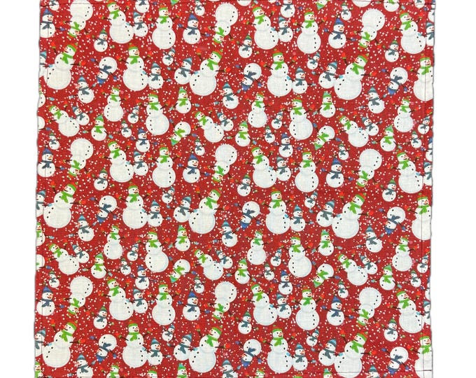 Winter Snowman Christmas Holiday Napkins - Set of 2 or 6 - Perfect for hosting, decorating, and making your home festive