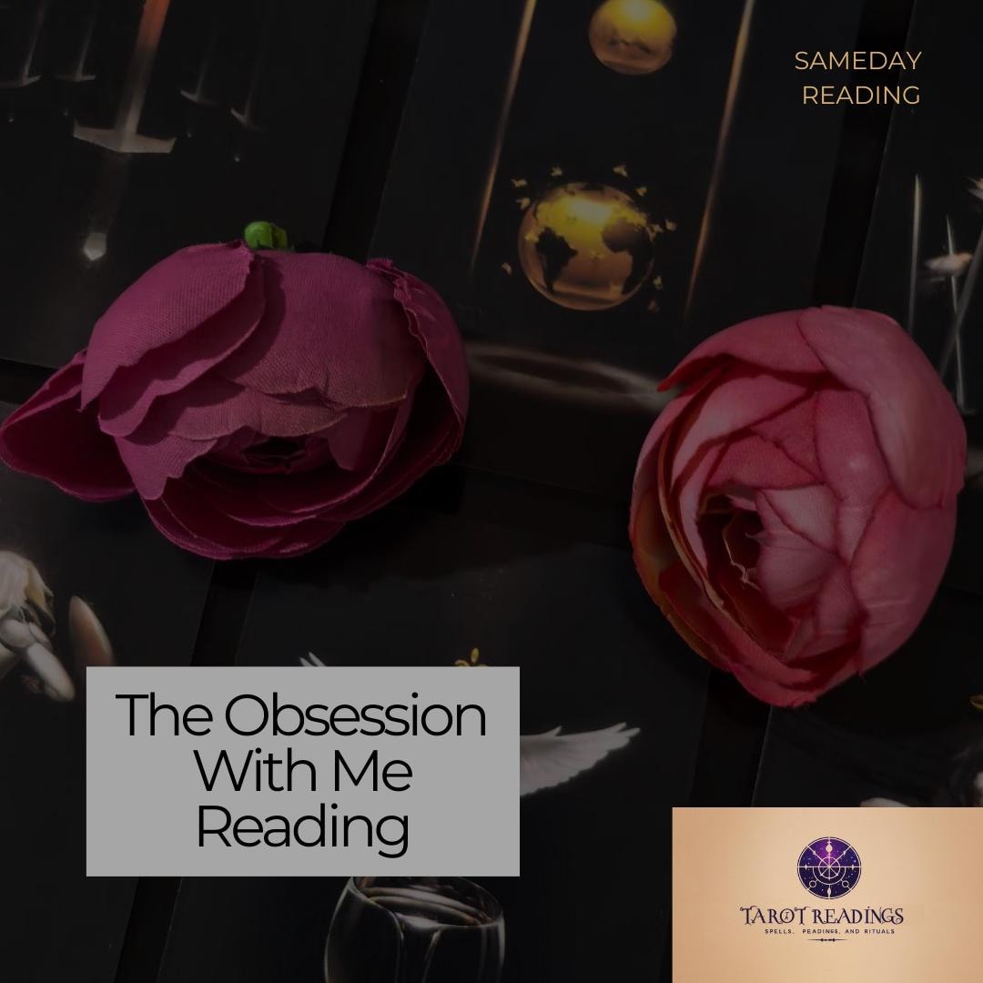 The Obsession With Me Reading Psychic Love Tarot Same Day Insights
