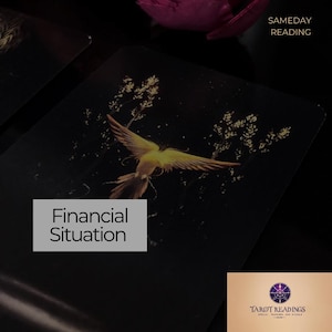 Financial Situation Tarot Reading | Money & Career Guidance | Accurate Psychic Insights on Finances, Abundance Future Wealth