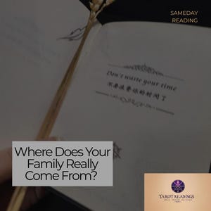 May include: An open book with the text "Don't waste your time" and "Where Does Your Family Really Come From?" A sprig of wheat is placed on the pages. The image also includes the text "SAMEDAY READING" and a logo for "TAROT READINGS".