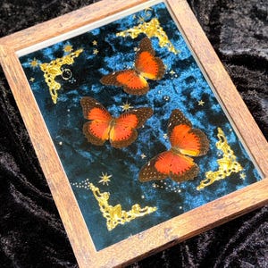 May include: A framed artwork featuring three orange and black butterflies set against a dark blue velvet background. The butterflies are arranged within a wooden frame, with gold decorative accents and star details.