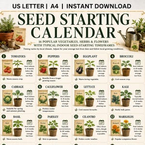 May include: A digital seed starting calendar print featuring the text US LETTER | A4 | INSTANT DOWNLOAD and SEED STARTING CALENDAR. The grid displays 12 numbered sections with illustrations of vegetables, herbs, and flowers, plus planting timeframes.