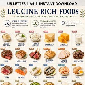 May include: An educational infographic titled LEUCINE RICH FOODS, featuring 36 protein sources categorized by type. The chart includes text labels for dairy, meat, poultry, fish, seafood, and soy items, with illustrations of foods like beef, salmon, and eggs.