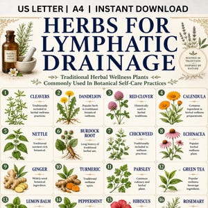 Afdrukbaar kruiden voor lymfedrainage, pdf-gids kruidenwellness, gids botanische zelfzorg en kruidenthee