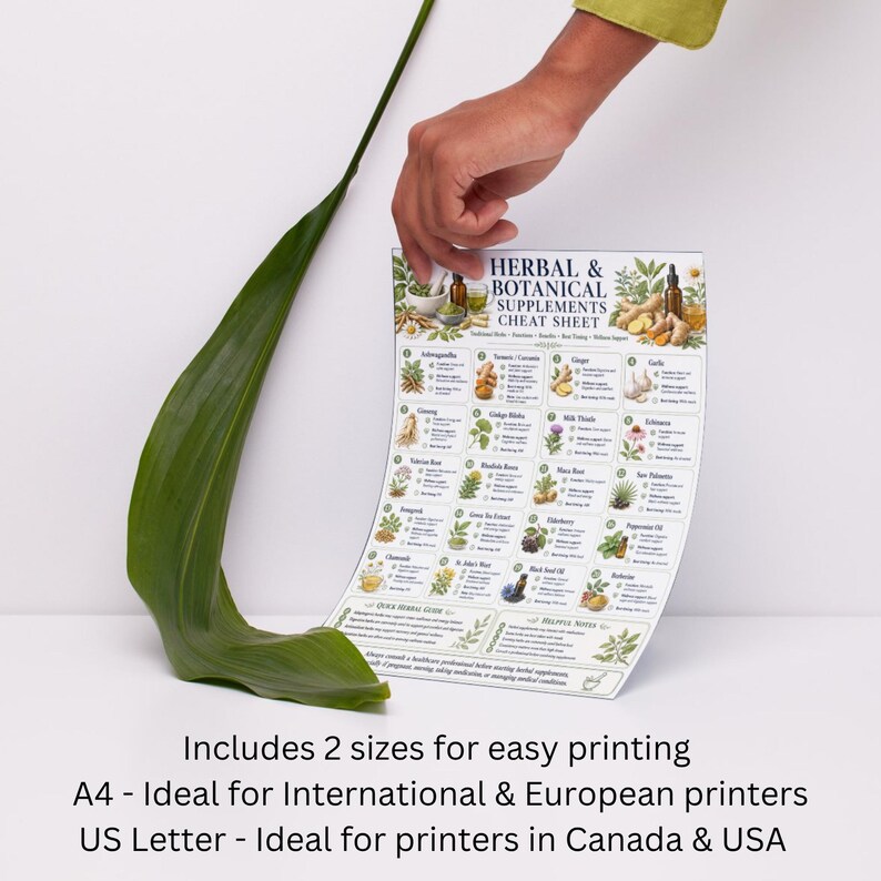 May include: A white paper sheet titled Herbal & Botanical Supplements Cheat Sheet featuring a grid of illustrations and text describing various herbs, roots, and oils, with a green leaf positioned next to the document on a white surface.