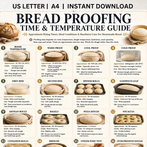 Può includere: Una guida ai tempi e alle temperature di lievitazione del pane con sedici sezioni numerate, istruzioni testuali e immagini di impasti in varie fasi, inclusi ciotole, teglie e stampi per pane su uno sfondo bianco.
