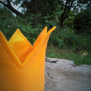 May include: A bright yellow felt crown with a pointed design. The crown is cylindrical with a V-shaped cutout at the front. The background features a blurred green forest and a weathered wooden surface.
