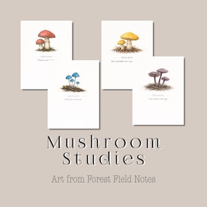 May include: Four art prints featuring watercolor illustrations of mushrooms. Each print includes a different mushroom species with a descriptive title. The prints are labeled "Field Note" with text below. The title of the collection is "Mushroom Studies".