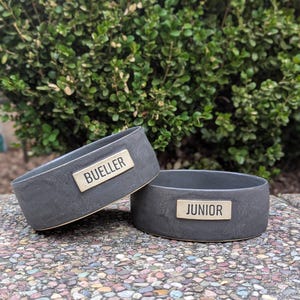 May include: Two dark gray ceramic pet bowls with rectangular nameplates. One bowl reads "BUELLER" and the other reads "JUNIOR". The bowls are sitting on a stone surface with green foliage in the background.