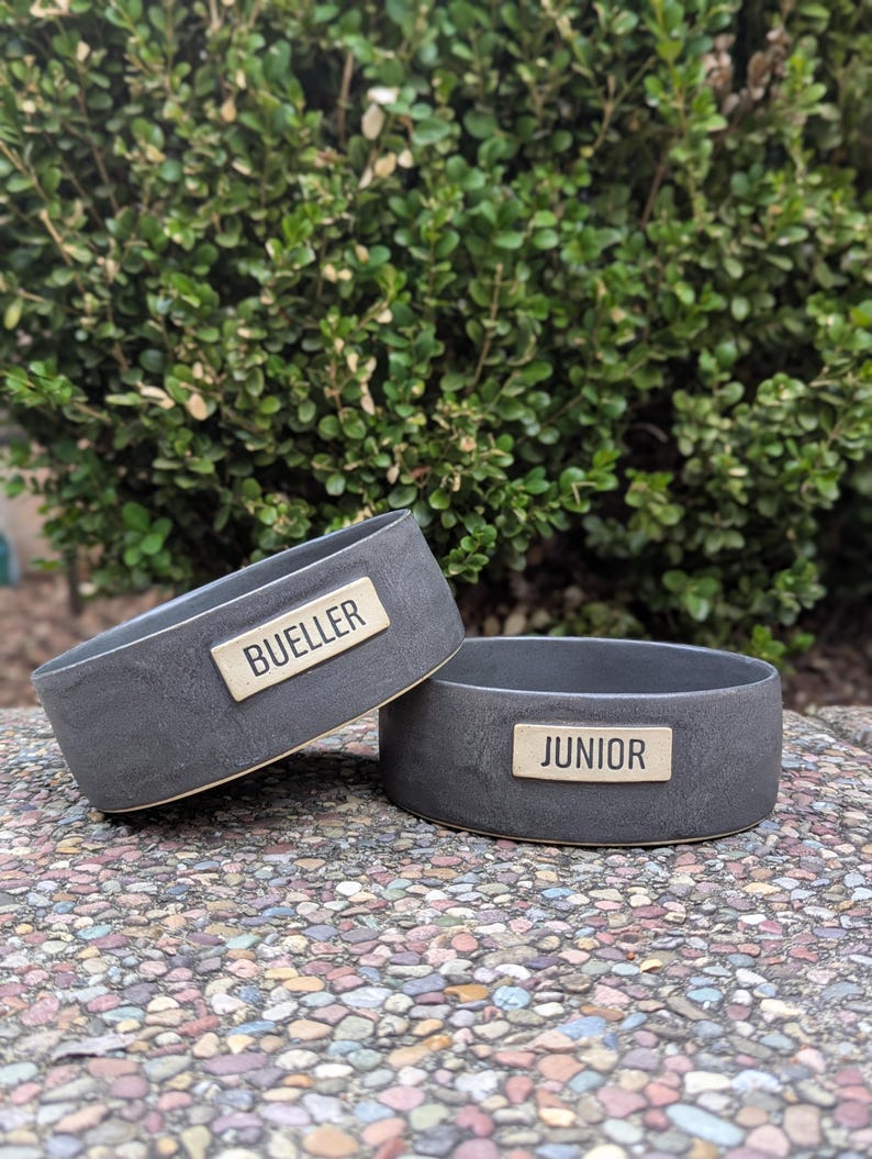 May include: Two dark gray ceramic pet bowls with rectangular nameplates. One bowl reads "BUELLER" and the other reads "JUNIOR". The bowls are sitting on a stone surface with green foliage in the background.