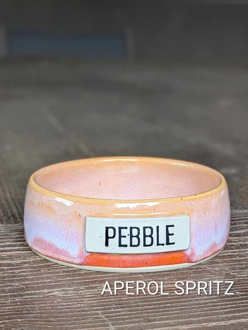 Customized Pet Food Bowl: Multiple Sizes | MADE-TO-ORDER | Ceramic Aperol Spritz