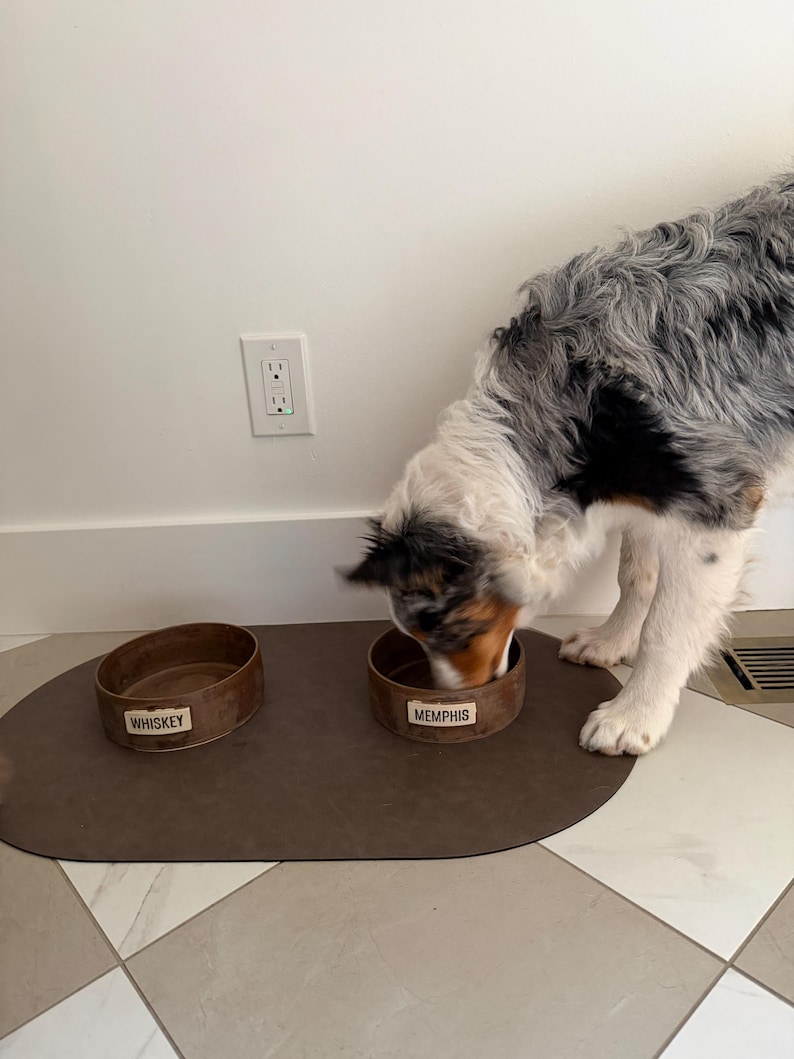 May include: A dog eats from a brown metal bowl labeled "Memphis" on a brown mat. Another bowl labeled "Whiskey" sits nearby. The dog has a mix of black, white, and brown fur. The bowls are on a tiled floor.