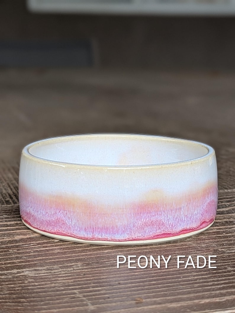 Customized Pet Food Bowl: Multiple Sizes | MADE-TO-ORDER | Ceramic image 9