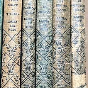Bobbsey Twins Books, Hardcovers with Crosshatch Pattern Covers, Sold Separately, 1934-1950, Vintage Books