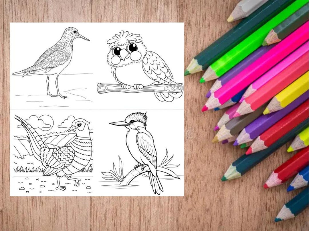 Bird Coloring Pages – 43 Illustrations for Adults and Kids (instant ...