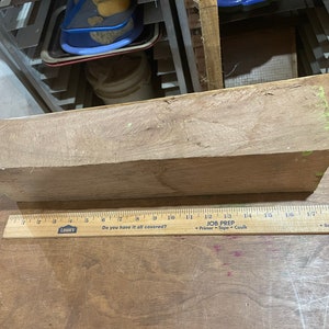 Black Walnut