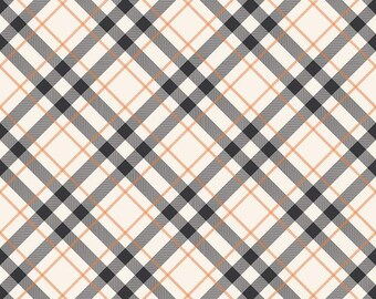 Plaid Off White from Hey Bootiful by My Minds Eye for Riley Blake Designs