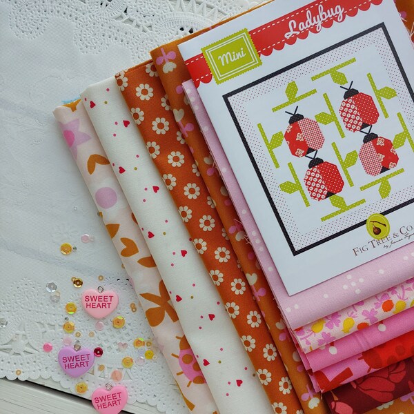 Ladybug Valentine's Mini Quilt Kit