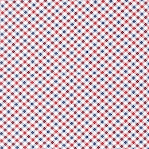 Simple Check Patriotic from Star Spangled Collection by April Rosenthal for Moda Fabrics