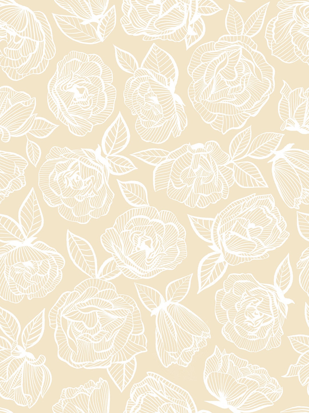 Parchment Colour Roses Lace Roses Parchment From First Light Collection a Designer - Etsy