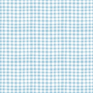 May include: A repeating pattern featuring a light blue and white gingham check design. The grid consists of hand-drawn style lines that intersect to form small squares, creating a consistent, uniform, and soft-toned checkered textile graphic.