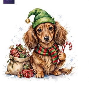 May include: A long-haired brown dachshund wearing a green elf hat with a gold bell and a red and green striped scarf. The dog holds a red and white candy cane, sitting beside a beige sack filled with various colorful wrapped gift boxes.