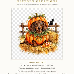 May include: A digital illustration of a brown dachshund wearing a pumpkin costume, sitting on hay bales with candy corn, a wooden fence, and a black cat. Text reads: NEXTGEN CREATIONS Dachshund Halloween PNG Sublimation Design WHAT YOU GET.