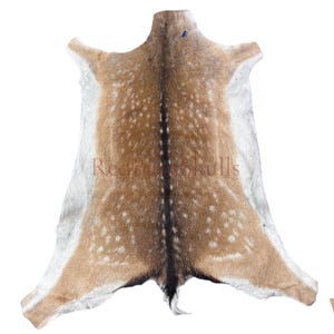 May include: A full deer hide with a natural pattern of brown and white spots. The hide is mostly brown with a darker brown stripe down the center. The edges are a lighter color. The text "Red Fox Skulls" is printed on the hide.