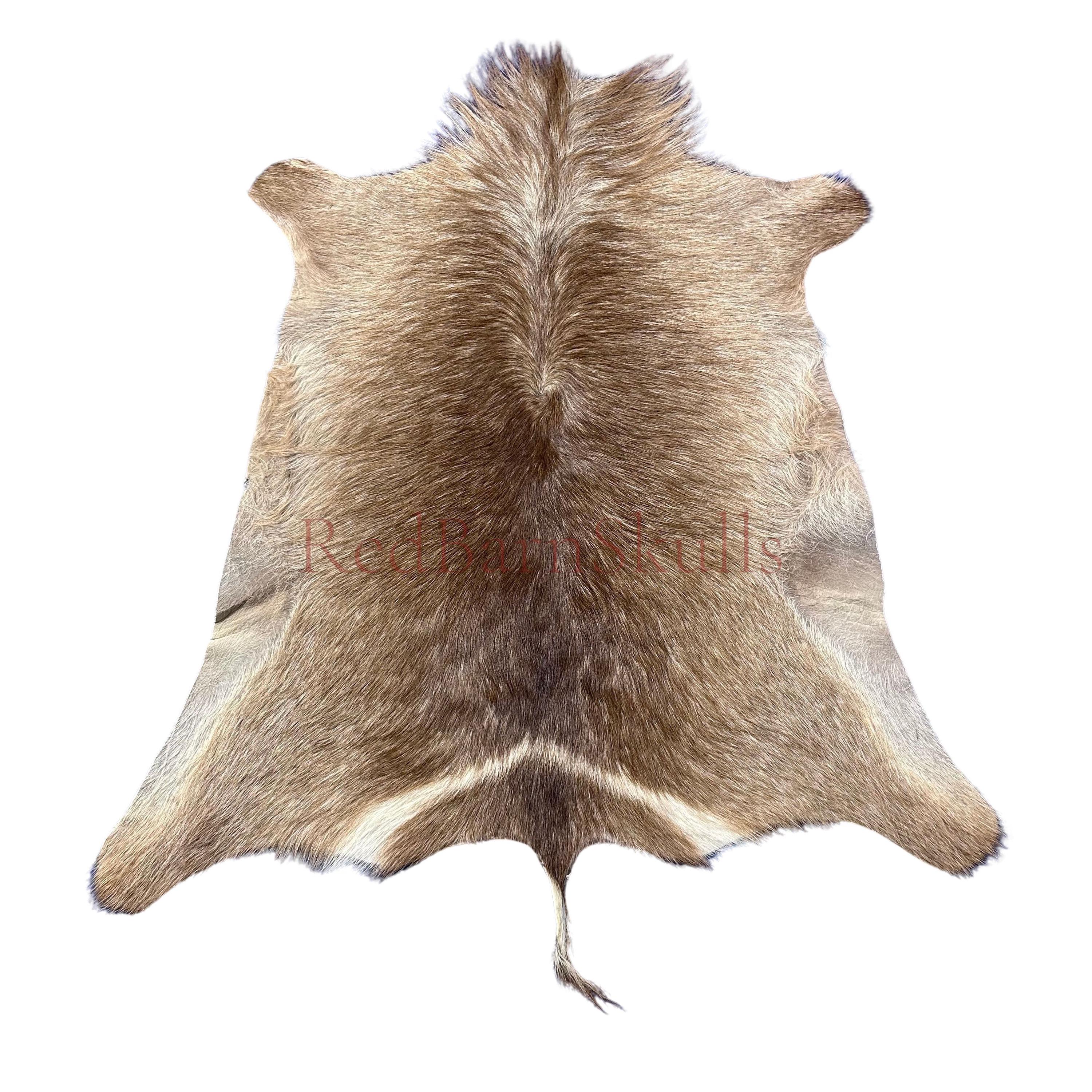 Waterbuck Skin - Deer Leather Rug -Deer skin floor rug - Real Waterbuck Hide - Waterbuck Antelope Skin Rug Size: 51X45" - D-955