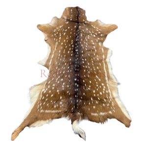 Axis Deer Skin # 758 (size 41X32") Real Chital Deer Skin - Leather for upholstery, Deer skin for pillows, wallets, hand bags, deer floor rug