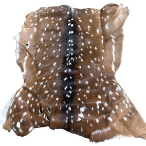 May include: A brown and white spotted deer hide. The hide has a dark brown stripe down the center and is covered in white spots. The edges of the hide are uneven, and the fur is soft and textured.